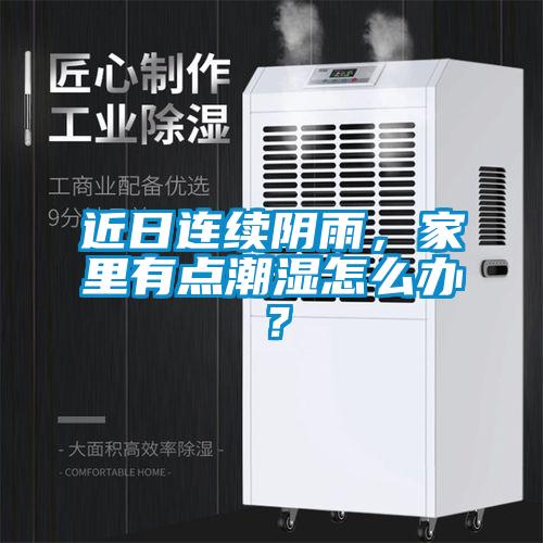 近日連續陰雨，家里有點潮濕怎么辦？