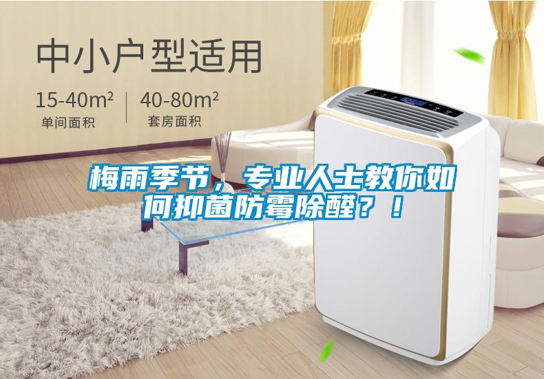 梅雨季節，專業人士教你如何抑菌防霉除醛？！