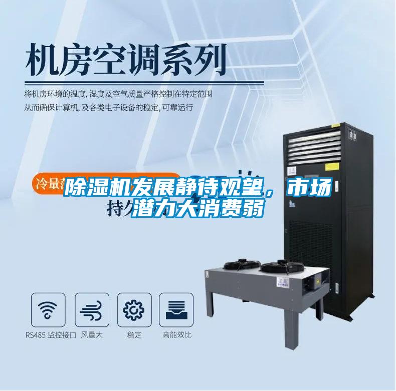 除濕機發展靜待觀望，市場潛力大消費弱