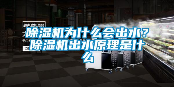 除濕機為什么會出水？除濕機出水原理是什么