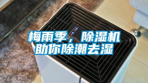 梅雨季，除濕機助你除潮去濕
