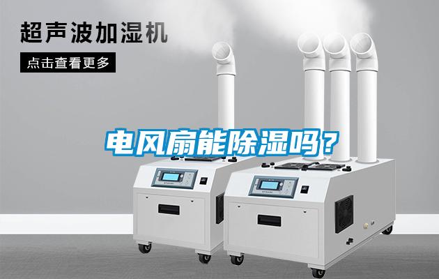 電風扇能除濕嗎？