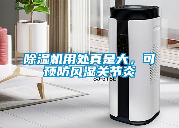 除濕機用處真是大，可預防風濕關節炎