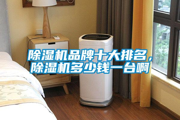 除濕機品牌十大排名，除濕機多少錢一臺啊