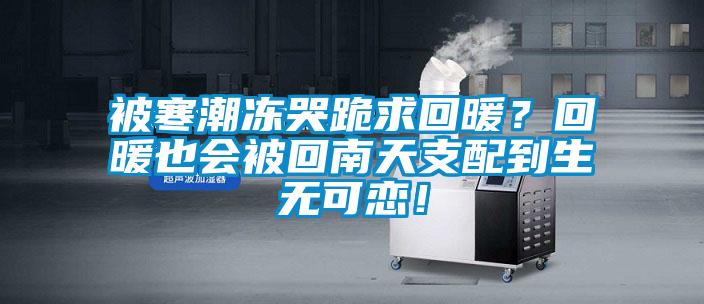 被寒潮凍哭跪求回暖？回暖也會被回南天支配到生無可戀！