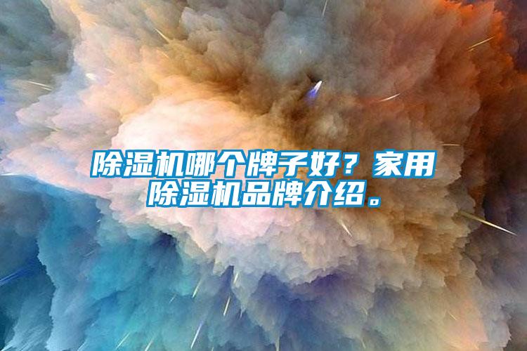 除濕機哪個牌子好？家用除濕機品牌介紹。