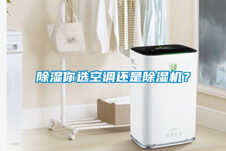 除濕你選空調還是除濕機？
