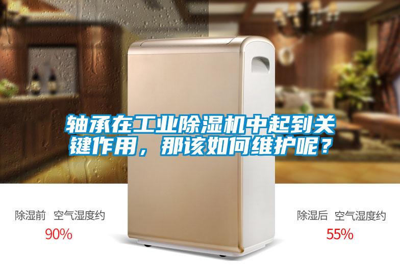 軸承在工業除濕機中起到關鍵作用，那該如何維護呢？