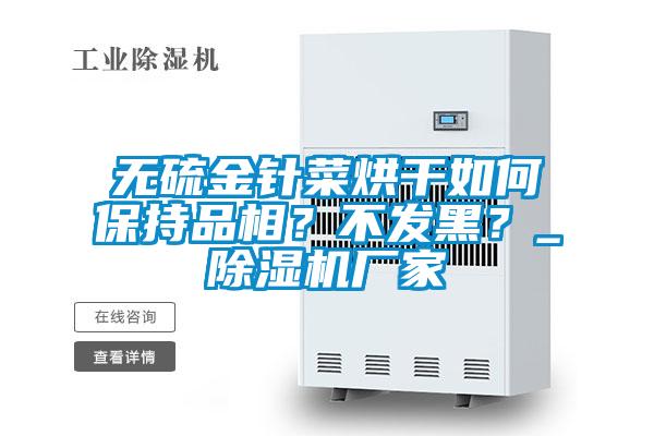 無硫金針菜烘干如何保持品相？不發黑？_除濕機廠家