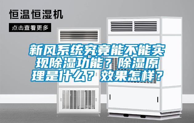 新風系統究竟能不能實現除濕功能？除濕原理是什么？效果怎樣？