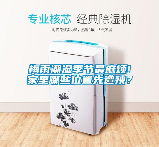梅雨潮濕季節最麻煩!家里哪些位置先遭殃？