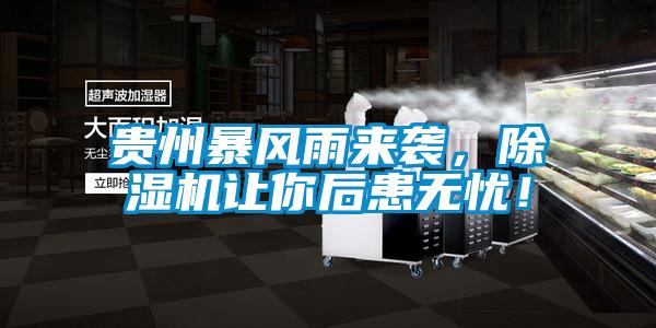 貴州暴風雨來襲，除濕機讓你后患無憂！