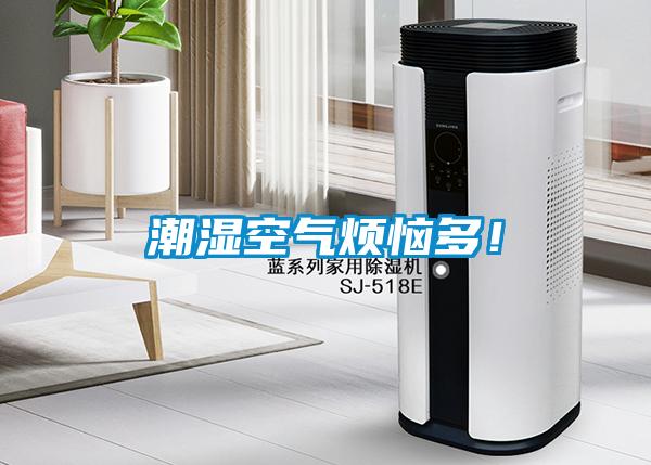 潮濕空氣煩惱多！