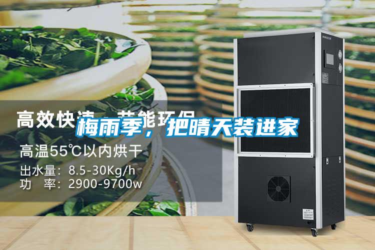 梅雨季，把晴天裝進家
