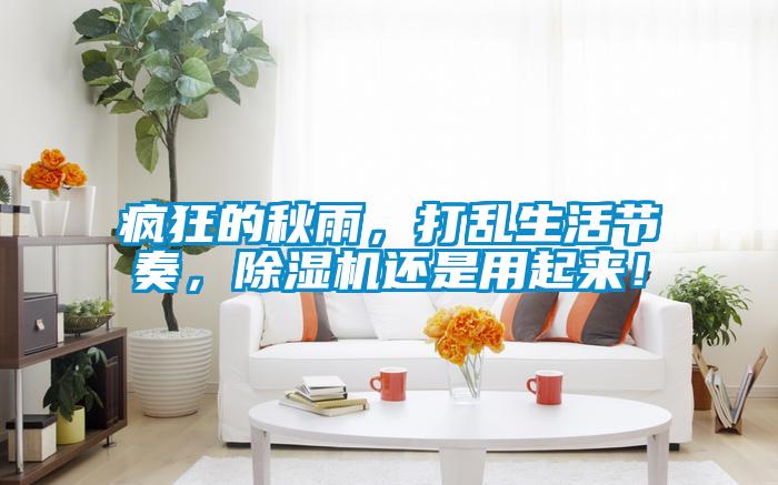 瘋狂的秋雨，打亂生活節奏，除濕機還是用起來！