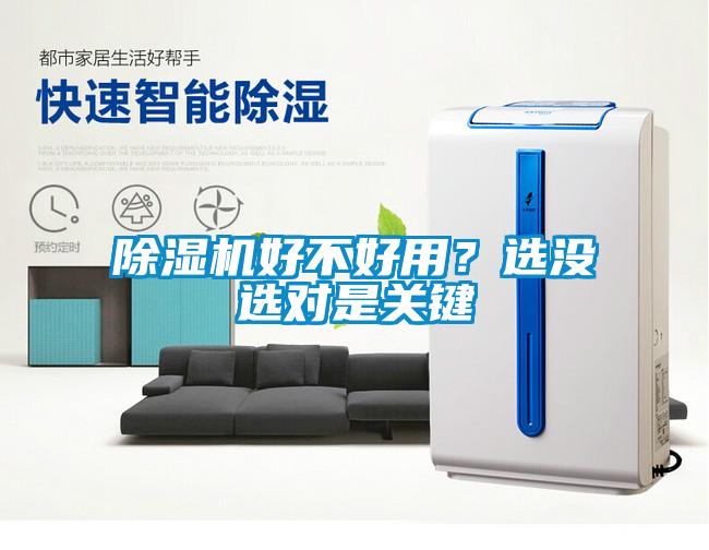 除濕機好不好用？選沒選對是關鍵