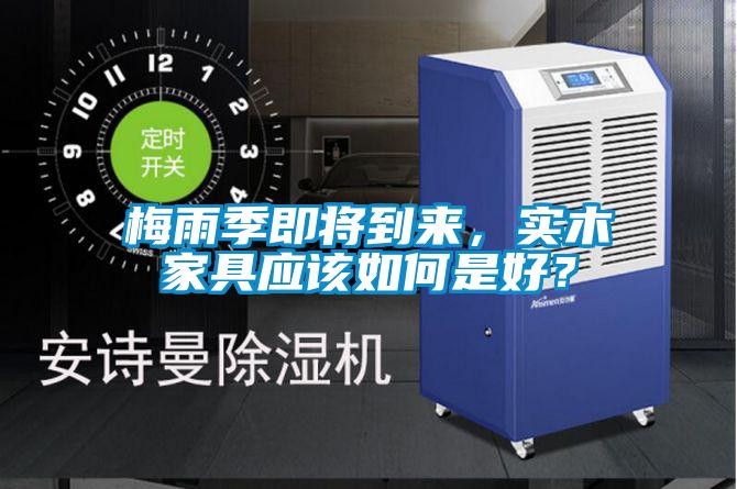梅雨季即將到來，實木家具應該如何是好？