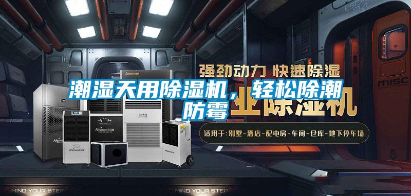 潮濕天用除濕機，輕松除潮防霉