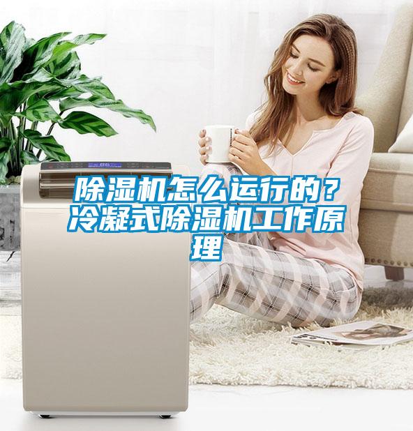 除濕機怎么運行的？冷凝式除濕機工作原理