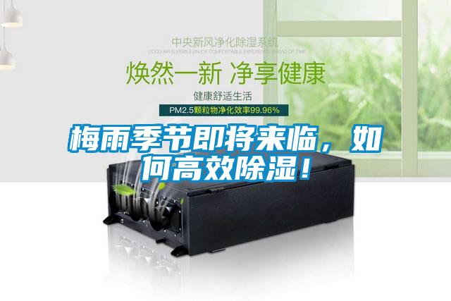 梅雨季節即將來臨，如何高效除濕！