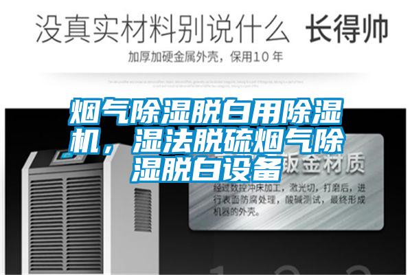 煙氣除濕脫白用除濕機，濕法脫硫煙氣除濕脫白設備