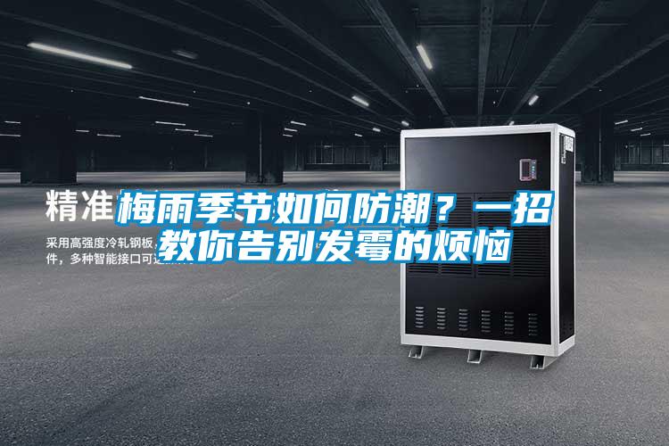 梅雨季節如何防潮？一招教你告別發霉的煩惱