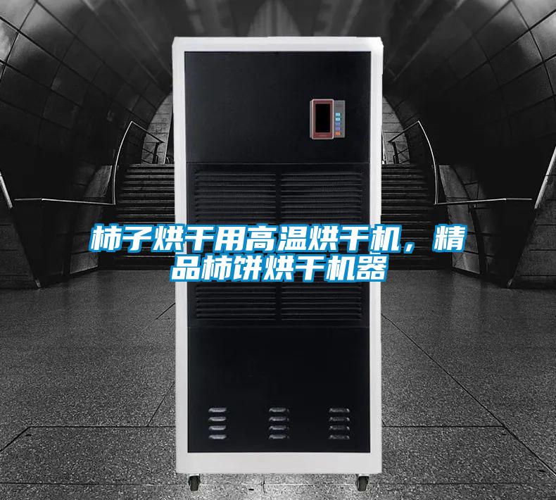 柿子烘干用高溫烘干機，精品柿餅烘干機器