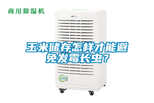 玉米儲存怎樣才能避免發霉長蟲？