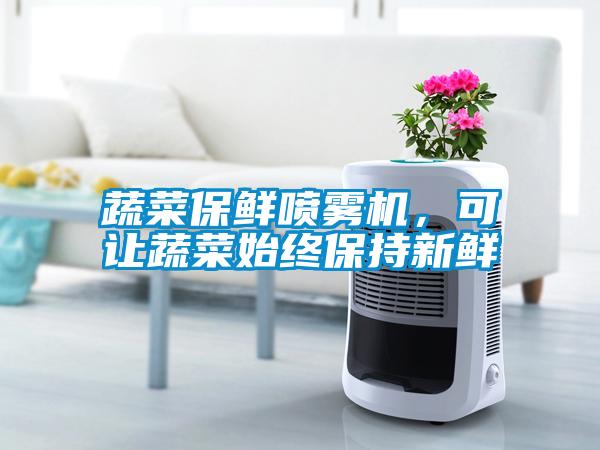 蔬菜保鮮噴霧機，可讓蔬菜始終保持新鮮
