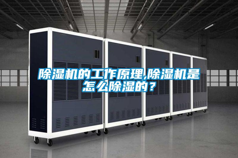 除濕機的工作原理,除濕機是怎么除濕的？