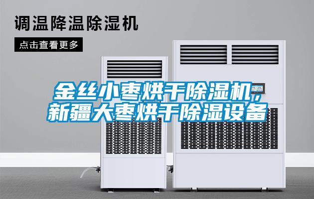 金絲小棗烘干除濕機，新疆大棗烘干除濕設備