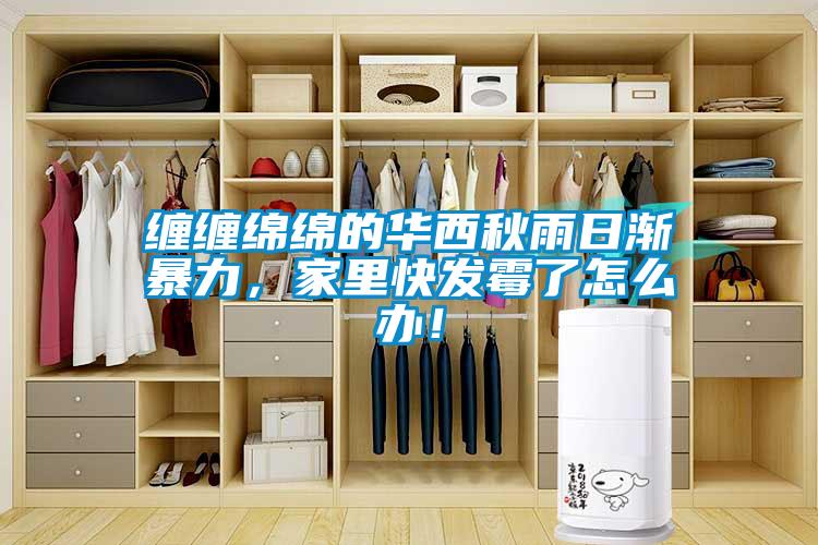 纏纏綿綿的華西秋雨日漸暴力，家里快發霉了怎么辦！