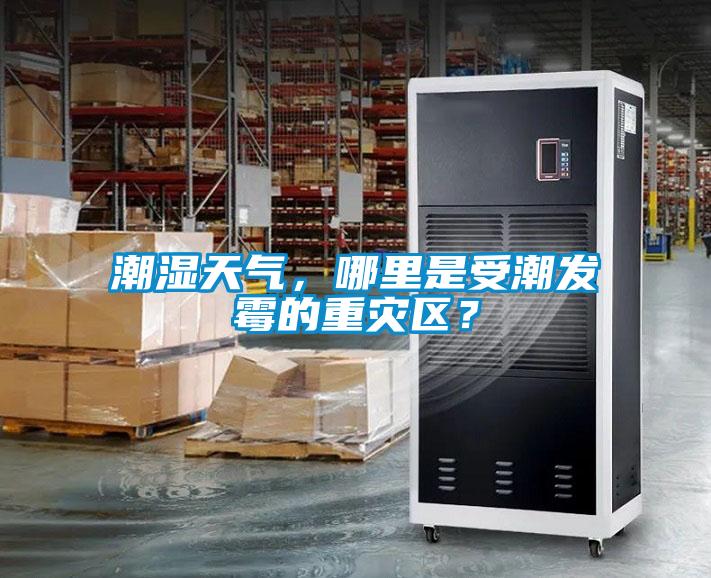 潮濕天氣，哪里是受潮發霉的重災區？