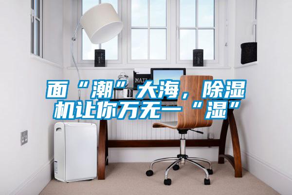 面“潮”大海，除濕機讓你萬無一“濕”