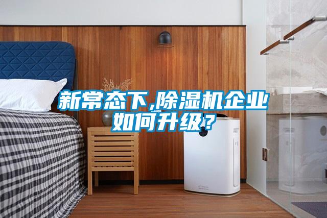 新常態下,除濕機企業如何升級？