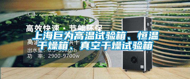 上海巨為高溫試驗箱、恒溫干燥箱、真空干燥試驗箱