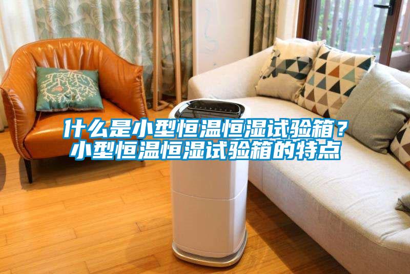 什么是小型恒溫恒濕試驗箱？小型恒溫恒濕試驗箱的特點