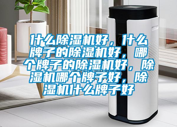 什么除濕機好，什么牌子的除濕機好，哪個牌子的除濕機好，除濕機哪個牌子好，除濕機什么牌子好