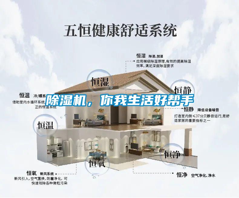 除濕機，你我生活好幫手