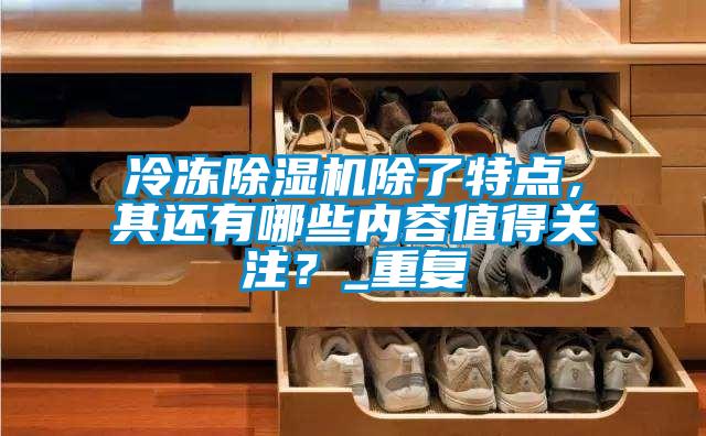 冷凍除濕機除了特點，其還有哪些內容值得關注？_重復