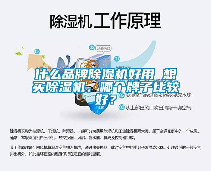 什么品牌除濕機好用 想買除濕機，哪個牌子比較好？