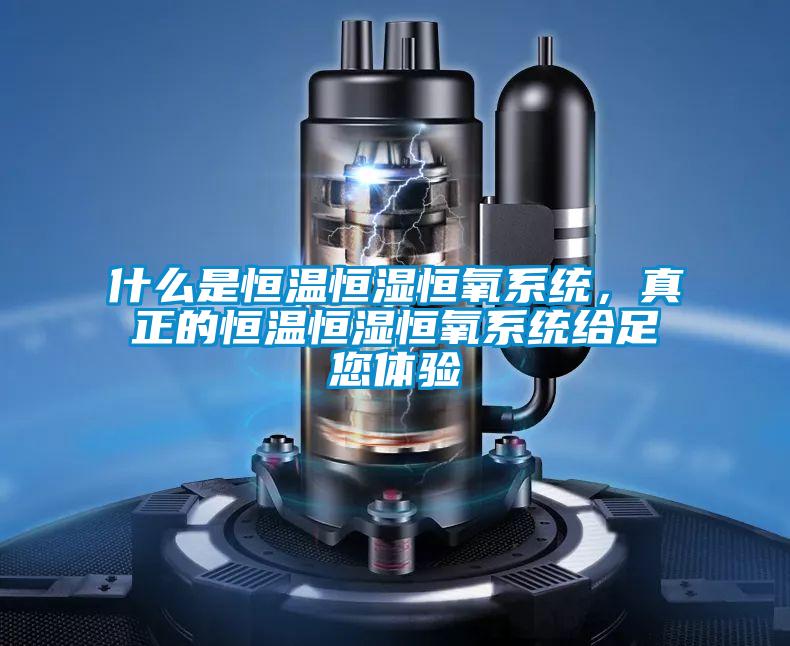 什么是恒溫恒濕恒氧系統，真正的恒溫恒濕恒氧系統給足您體驗
