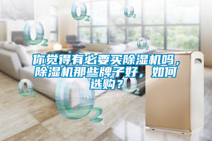 你覺得有必要買除濕機嗎，除濕機那些牌子好，如何選購？