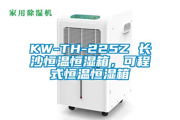 KW-TH-225Z 長沙恒溫恒濕箱，可程式恒溫恒濕箱