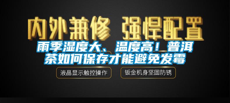 雨季濕度大、溫度高！普洱茶如何保存才能避免發霉