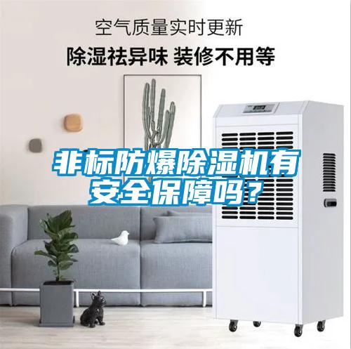 非標防爆除濕機有安全保障嗎？