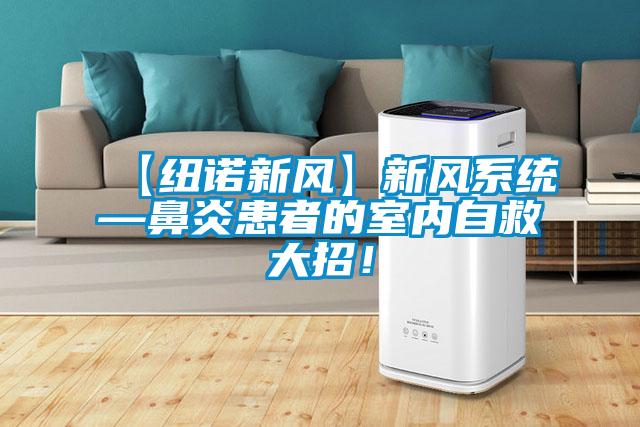 【紐諾新風】新風系統—鼻炎患者的室內自救大招！