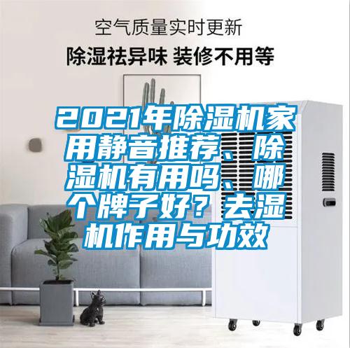 2021年除濕機家用靜音推薦、除濕機有用嗎、哪個牌子好？去濕機作用與功效