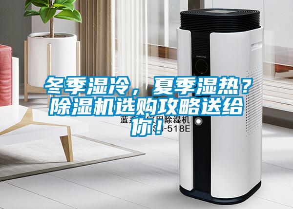 冬季濕冷，夏季濕熱？除濕機選購攻略送給你！