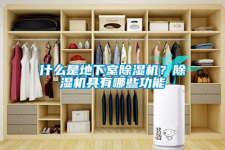 什么是地下室除濕機？除濕機具有哪些功能